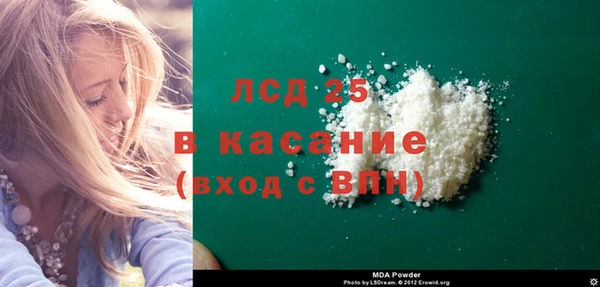 гидра Каменка