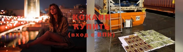 гидра Каменка