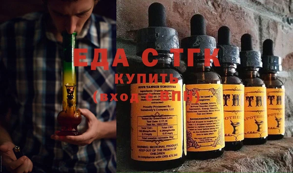 гидра Каменка