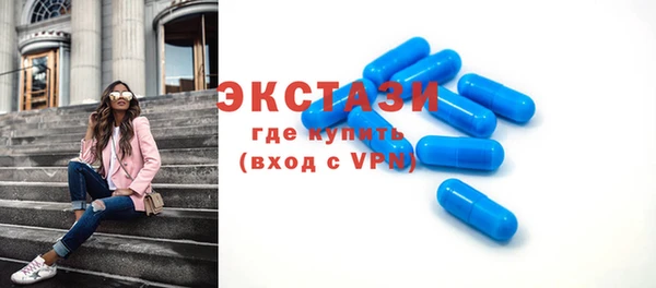 гидра Каменка