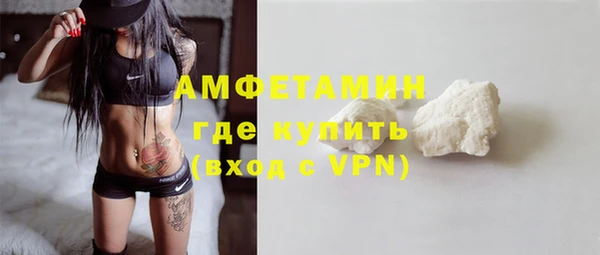 гидра Каменка