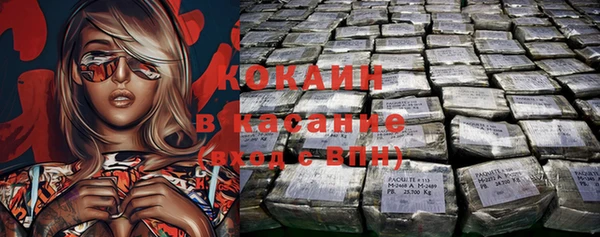 гидра Каменка
