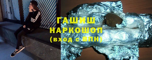 гидра Каменка