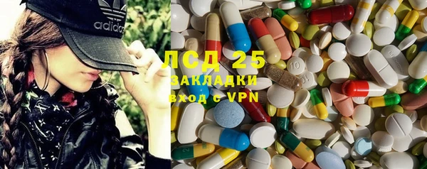 твердый Инсар