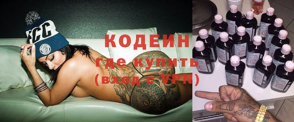 дурь Инта