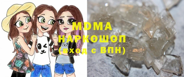 гидра Каменка