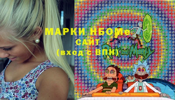 гидра Каменка