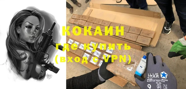 гидра Каменка