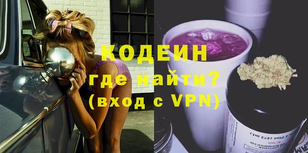 гидра Каменка