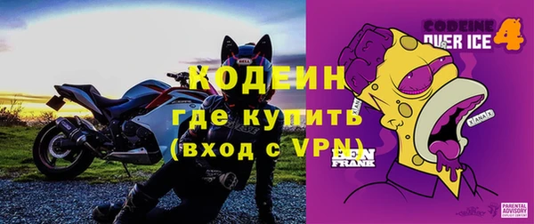 гидра Каменка