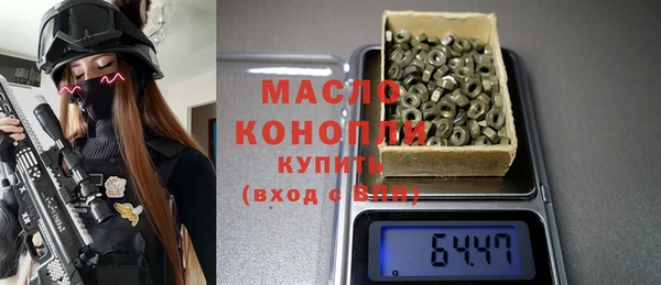 гидра Каменка