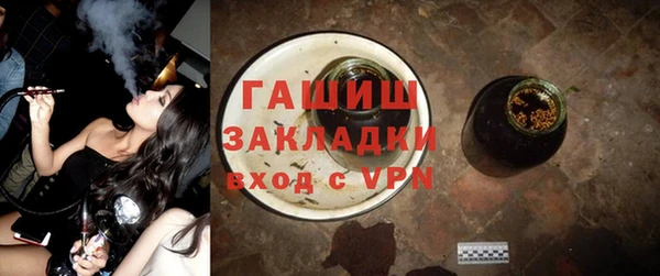 гидра Каменка